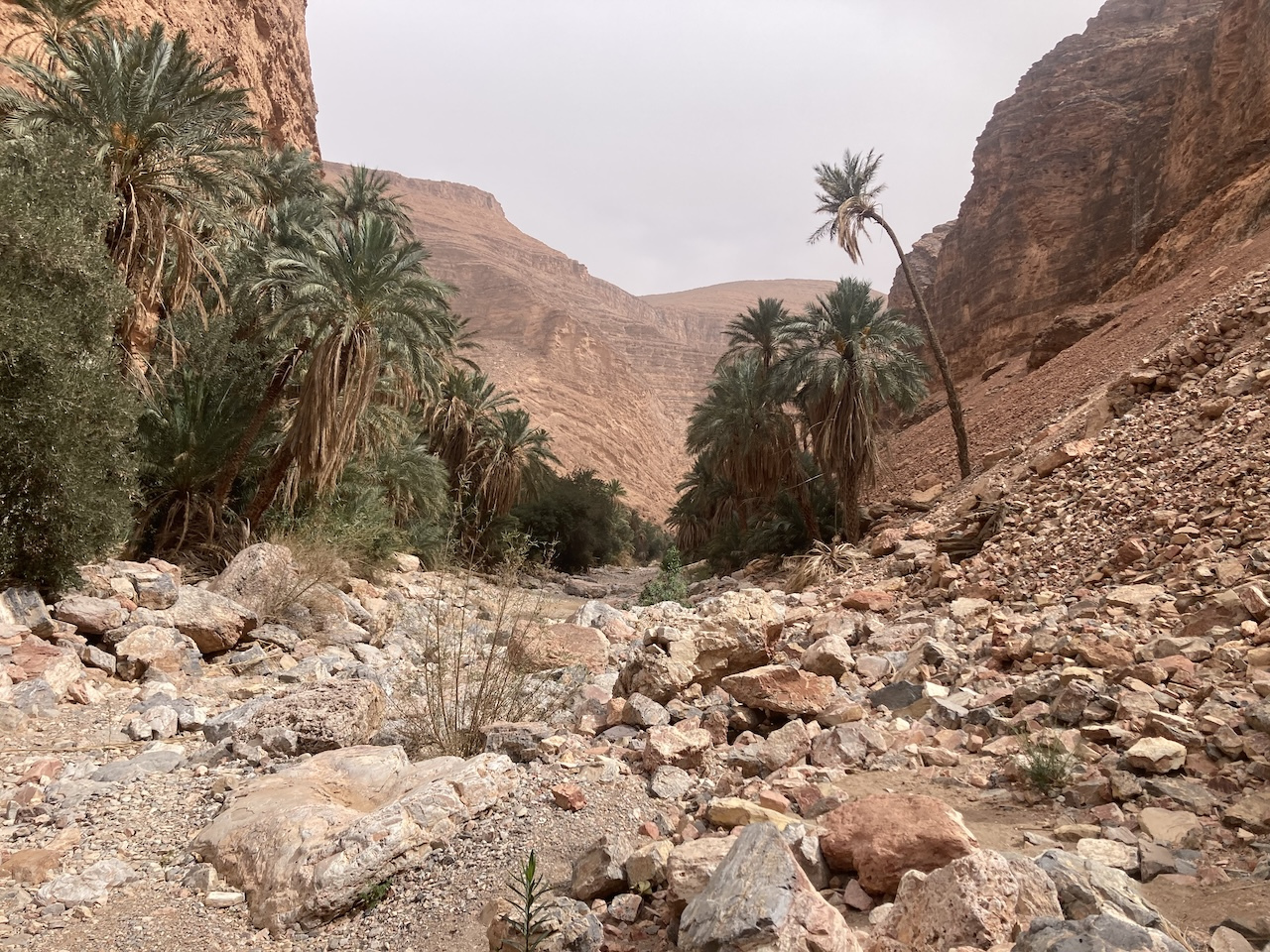 Oued Tamanart, Anti Atlas mountains