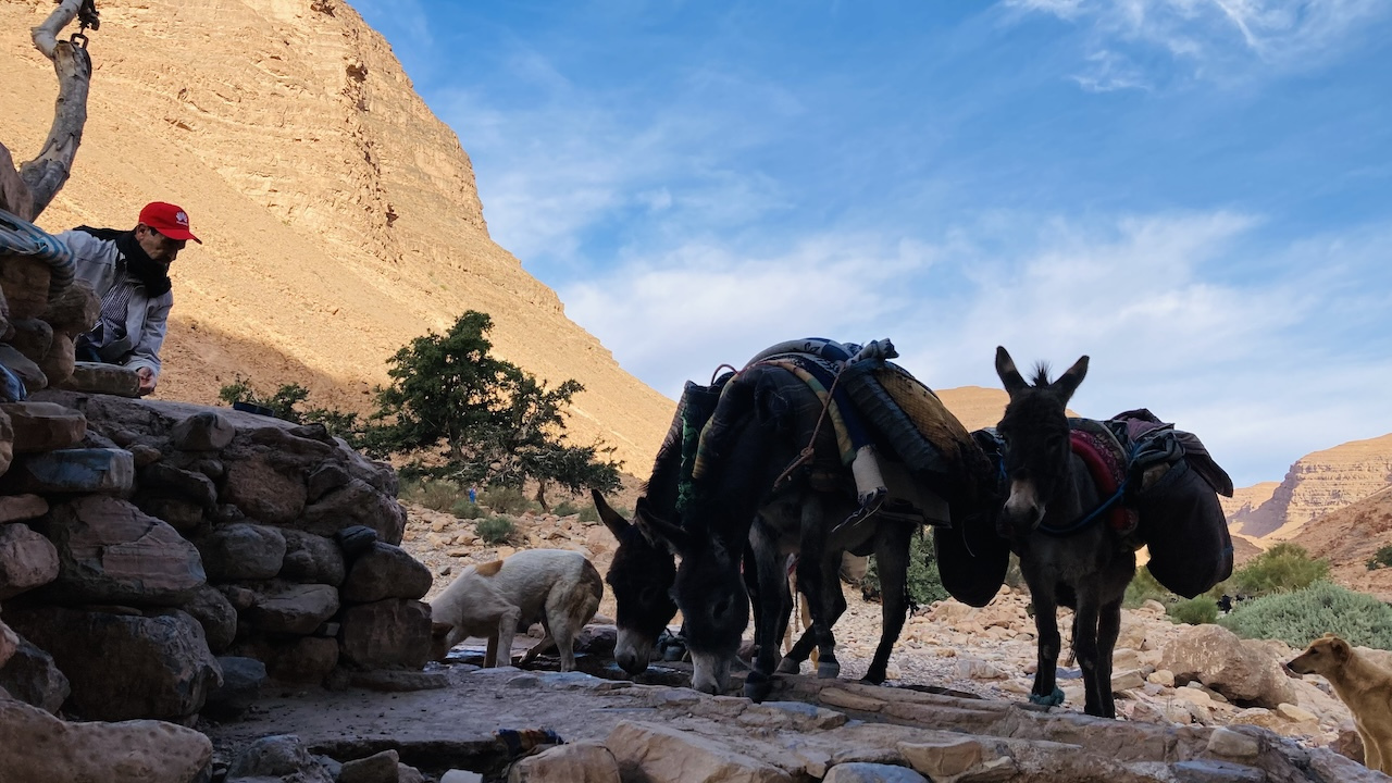 Trekking 13 Oued Tamanart, Anti Atlas mountains