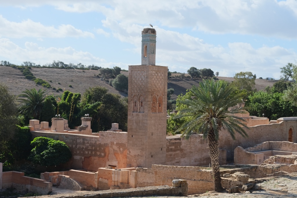 Chellah-Rabat-Merinid-metropolis-and-ruins